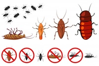 Научете повече за  пръскане срещу хлебарки 15