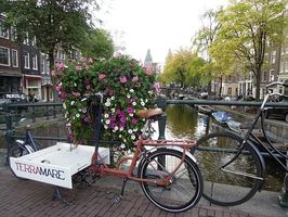 екскурзия до амстердам - 62655 селекции